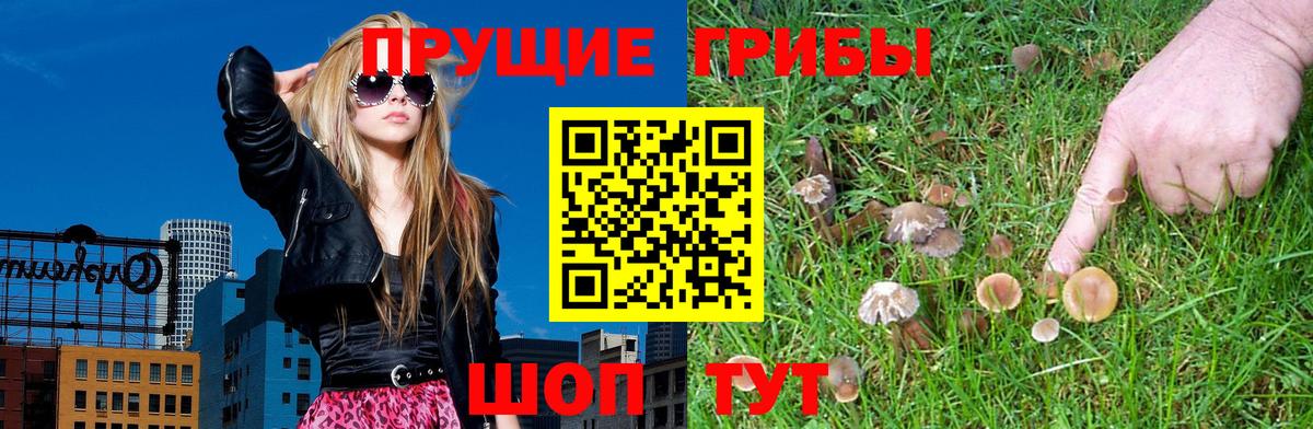 Галлюциногенные грибы Magic Shrooms Азов