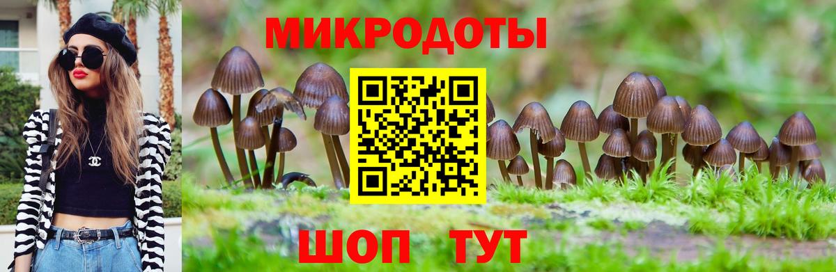 Азов  Галлюциногенные грибы Magic Shrooms  Вход с VPN 